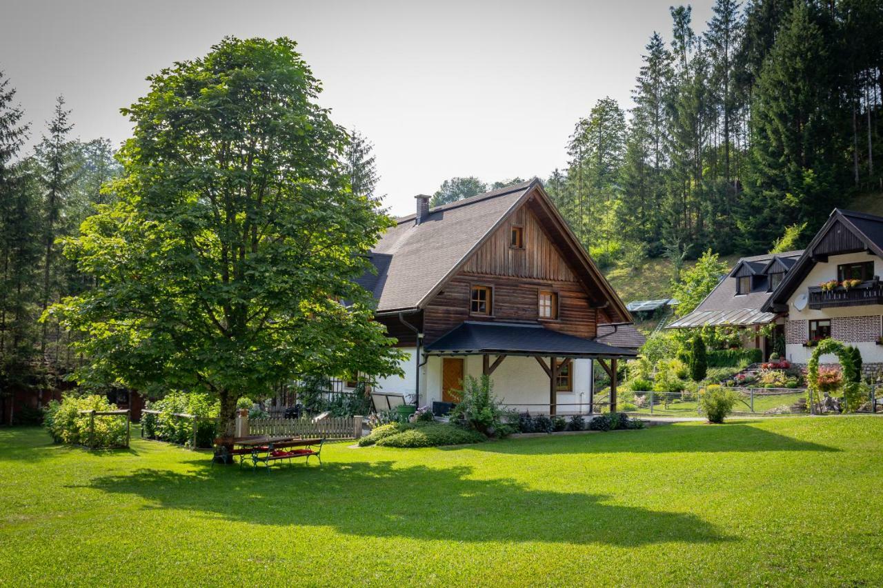 Ferienhaus Goestling Villa Gostling an der Ybbs Bagian luar foto